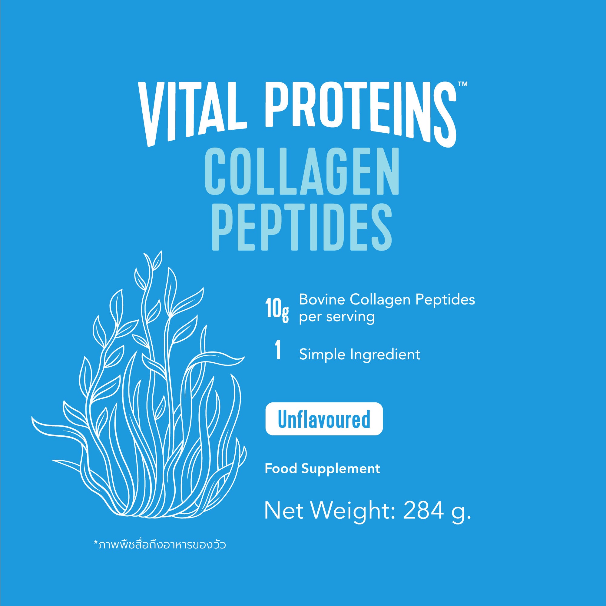 ไวทัลโปรตีน, vital proteins, collagen peptide, hydrolyzed collagen peptide, bovine collagen peptide